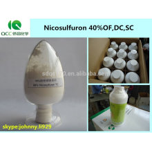 Produit phytosanitaire / Nicosulfuron sc, nicosulfuron 40% OF, 40% DC, 40% SC / 40 g / L OD herbicide -lq